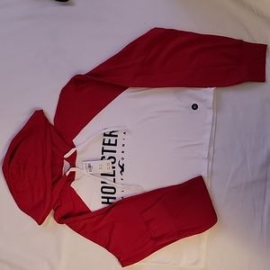 Hollister Long Sleevs Hooded Tee